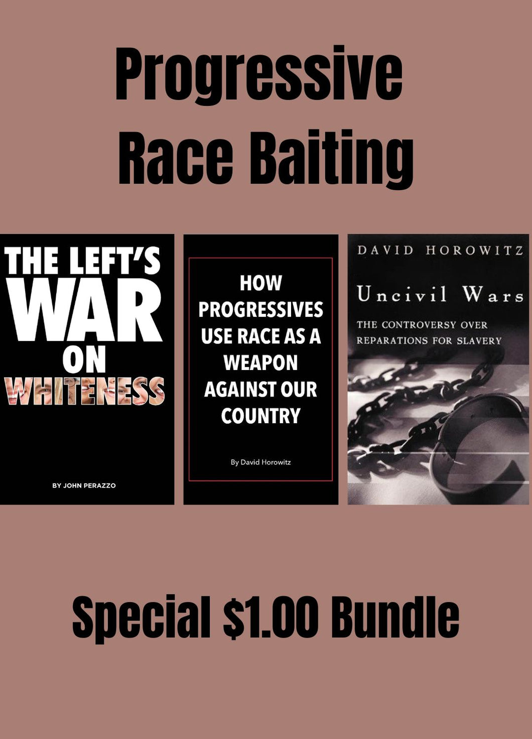 Special $1.00 Bundle: Progressive Race Baiting